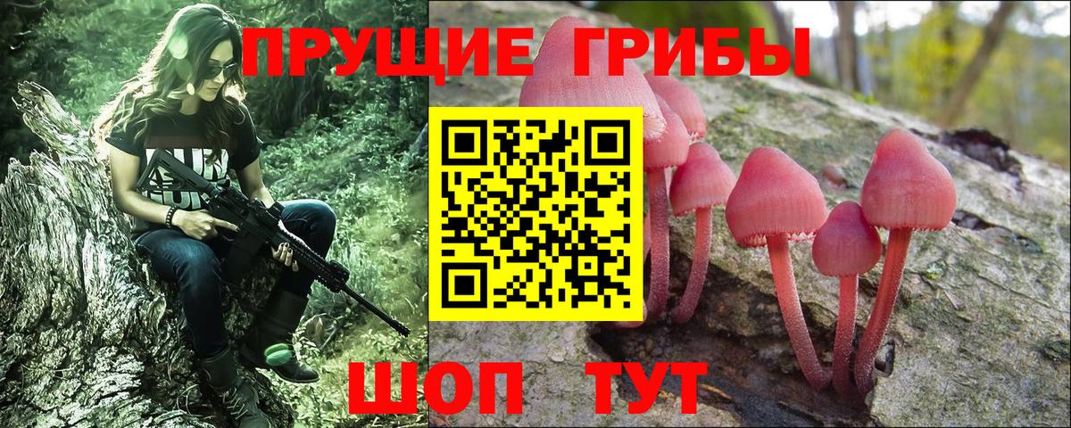 Псилоцибиновые грибы мицелий Сарапул