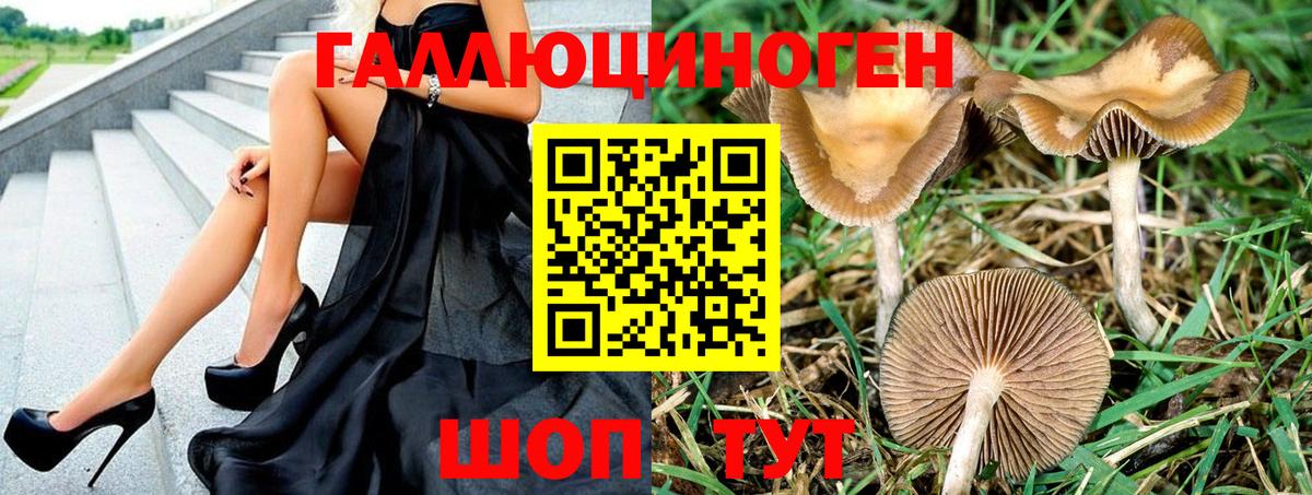 Псилоцибиновые грибы GOLDEN TEACHER  Вход с VPN  Псилоцибиновые грибы мухоморы  Сарапул 